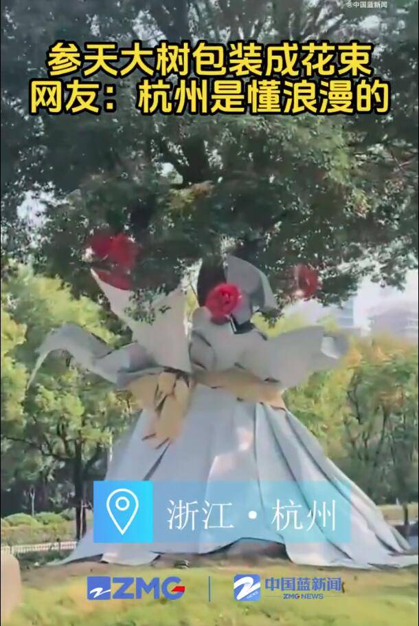 杭州参天大树被包装成巨型花束