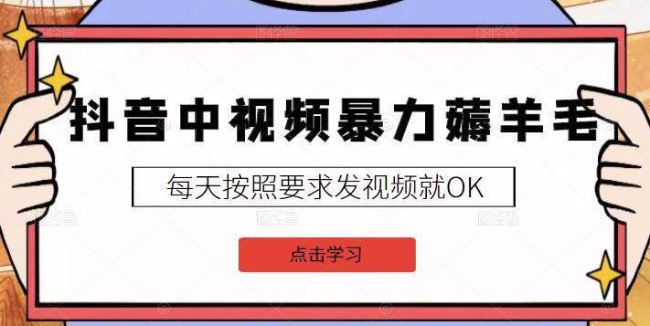 2022抖音中视频暴力薅羊毛白嫖项目：新号每天20块，老号几天几百块，可多号￼-简创项目网