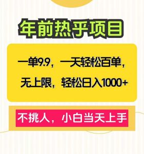 一单9.9，一天百单无上限，不挑人，小白当天上手，轻松日入1000+-简创项目网