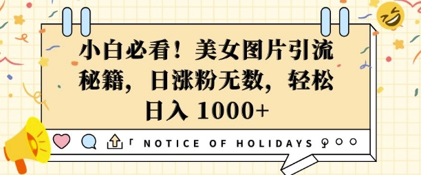 小白必看，美女图片引流秘籍，日涨粉无数，轻松日入几张【揭秘】-简创项目网