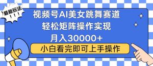 视频号蓝海赛道玩法，当天起号，拉爆流量收益，小白也能轻松月入30000+-简创项目网