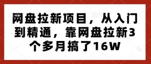 网盘拉新项目，从入门到精通，靠网盘拉新3个多月搞了16W-简创项目网