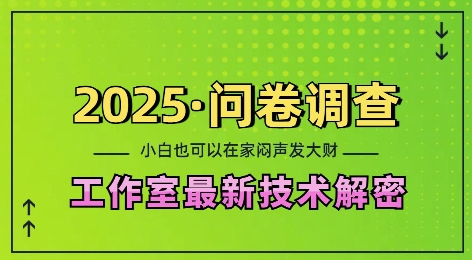 2025问卷调查最新工作室技术解密：一个人在家也可以闷声发大财，小白一天2张，可矩阵放大【揭秘】-简创项目网