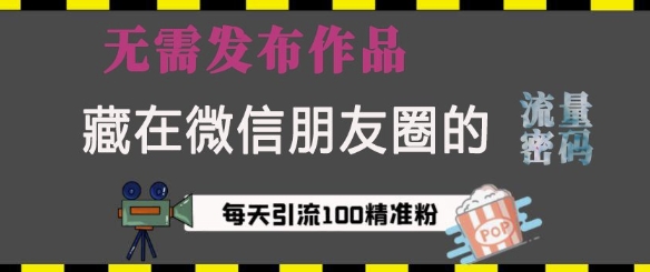 藏在微信朋友圈的流量密码，无需发布作品，单日引流100+精准创业粉【揭秘】-简创项目网