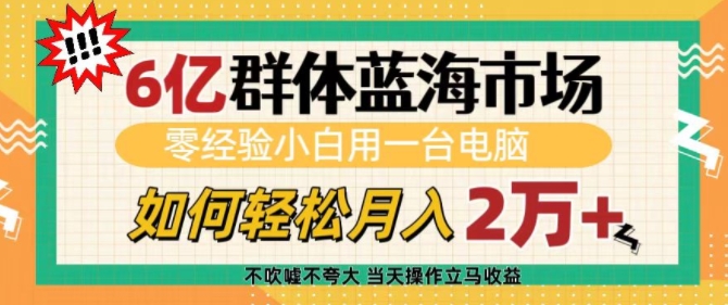 6亿群体蓝海市场，零经验小白用一台电脑，如何轻松月入过w【揭秘】-简创项目网