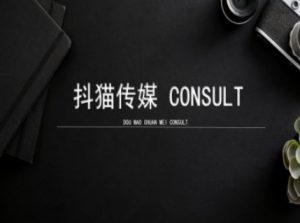 抖猫学院小红书聚光详细操作流程实操-简创项目网