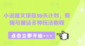 小说推文项目38天计划，剪辑与搬运多种玩法教程-简创项目网