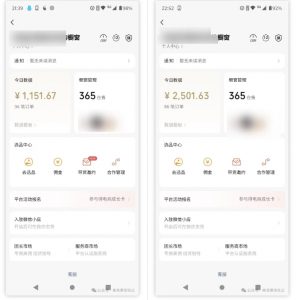 2025视频号蓝海超级暴利自动爆单术1.0 ，小白褔音 简单剪辑 不直播 不挂车-简创项目网