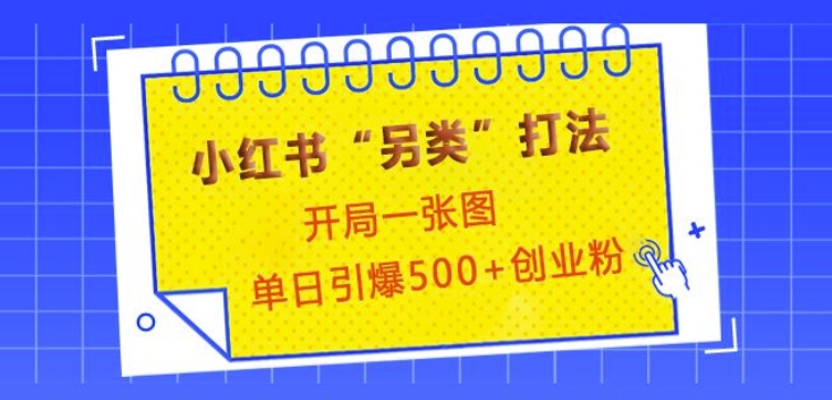 小红书“另类”打法，开局一张图，单日引爆500+精准创业粉【揭秘】-简创项目网