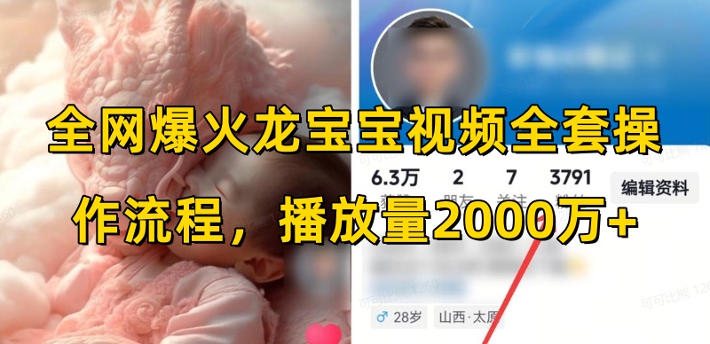 全网爆火龙宝宝视频全套操作流程，播放量2000万+-简创项目网
