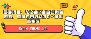 蓝海项目，龙之谷2全自动搬砖游戏，单窗口日收益30＋可批量矩阵-简创项目网