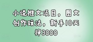 小说推文项目，图文创作玩法，新手10天挣3000-简创项目网