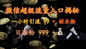 微信超级流量入口揭秘：一小时引流 99 + 创业粉，日涨粉 999 +-简创项目网