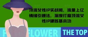 顶流女性IP实战班，流量上亿情绪引爆法，深度打磨顶流女性IP硬核基本功-简创项目网