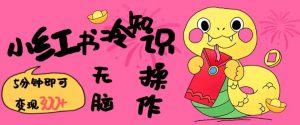 小红书冷知识账号，无脑复制粘贴，5分钟即可变现3张-简创项目网