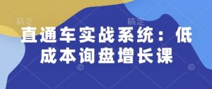 直通车实战系统：低成本询盘增长课，让个人通过技能实现升职加薪，让企业低成本获客，订单源源不断-简创项目网