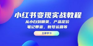 小红书变现实战教程：从小白到精英，产品定价，笔记带货，账号运营等-简创项目网