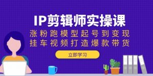 IP剪辑师实操课：涨粉跑模型起号到变现，挂车视频打造爆款带货-简创项目网