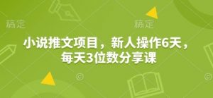 小说推文项目，新人操作6天，每天3位数分享课-简创项目网