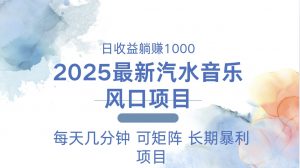 2025最新汽水音乐躺赚项目 每天几分钟 日入1000＋-简创项目网