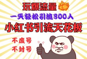 小红书引流天花板,玩爆流量,一天轻松引流300人,安全操作-简创项目网