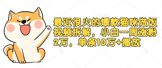 最近很火的爆款猫咪做饭视频拆解，小白一周涨粉2万，单条10万+播放(附保姆级教程)-简创项目网