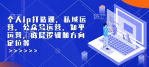 个人ip打造课，私域运营，公众号运营，知乎运营，底层逻辑和方向定位等-简创项目网