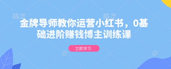 金牌导师教你运营小红书，0基础进阶赚钱博主训练课-简创项目网