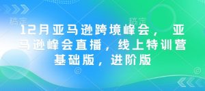 12月亚马逊跨境峰会， 亚马逊峰会直播，线上特训营基础版，进阶版-简创项目网