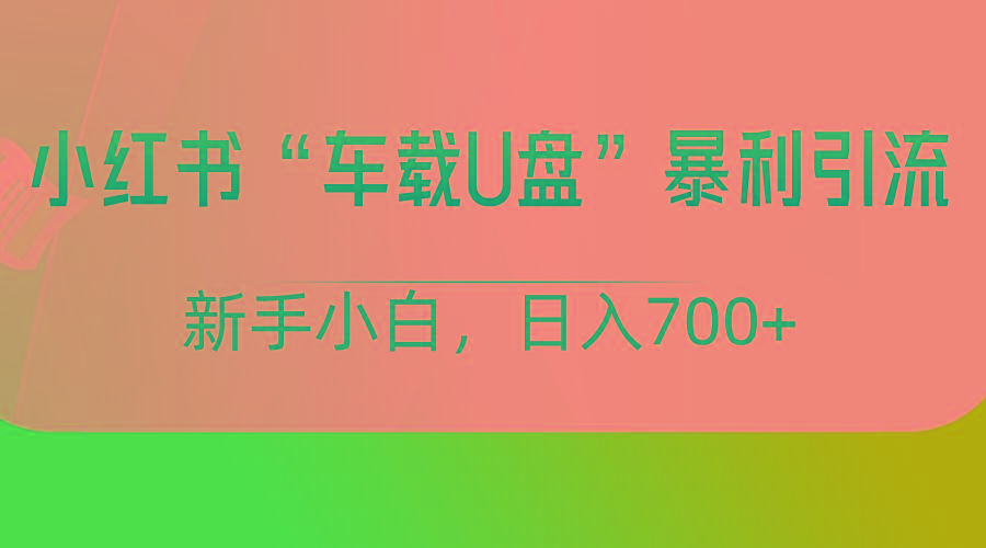 小红书“车载U盘”项目，暴利引流，新手小白轻松日入700+-简创项目网