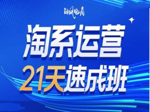 淘系运营21天速成班35期，年前最后一波和2025方向-简创项目网
