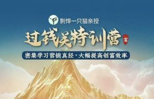 剽悍一只猫-过钱关特训营，学习营销真经 大幅度提高创富效率-简创项目网