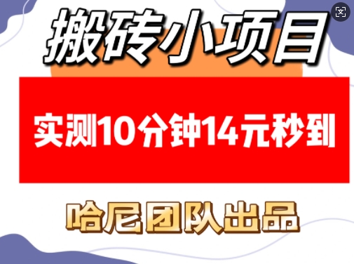 搬砖小项目，实测10分钟14元秒到，每天稳定几张(赠送必看稳定)-简创项目网