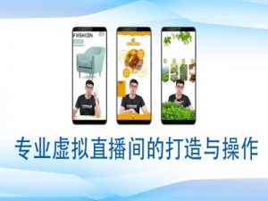 个人虚拟直播间的搭建与操作,专业虚拟直播间的打造与操作-简创项目网