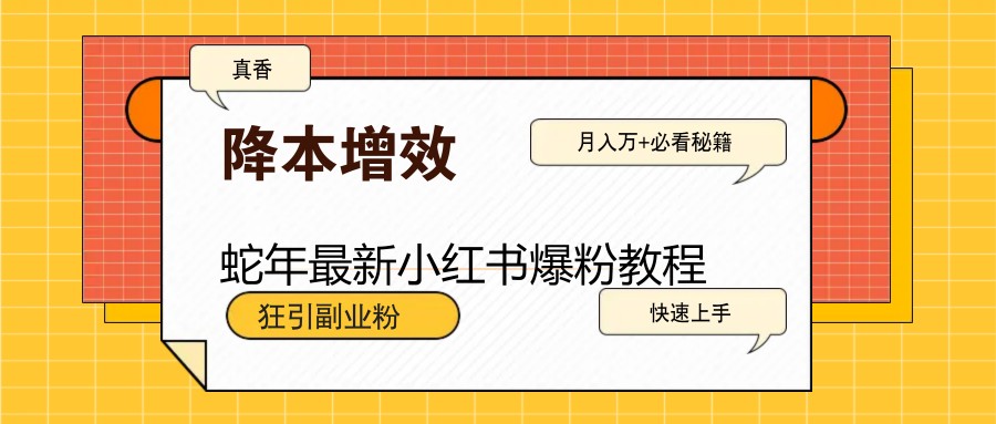 蛇年最新小红书爆粉教程，狂引副业粉，月入万+必看-简创项目网