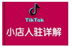 TikTok跨境小店运营全攻略，帮助你独立运营TK跨境小店的能力，实现销量增长-简创项目网