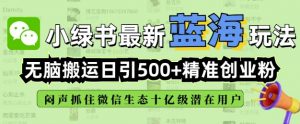 小绿书无脑搬运引流，全自动日引500精准创业粉，微信生态内又一个闷声发财的机会-简创项目网