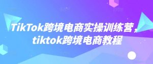TikTok跨境电商实操训练营，tiktok跨境电商教程-简创项目网