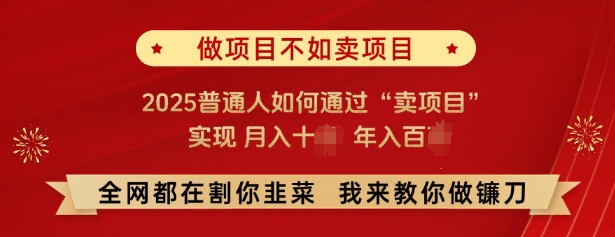 必看，做项目不如卖项目，2025普通人如何通过“卖项目”实现月入十个，年入百个-简创项目网