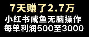 全网首发，7天赚了2.6万，2025利润超级高！-简创项目网