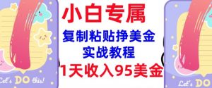 复制粘贴挣美金，0门槛，1天收入95美刀，3分钟学会，内部教程(首次公开)-简创项目网