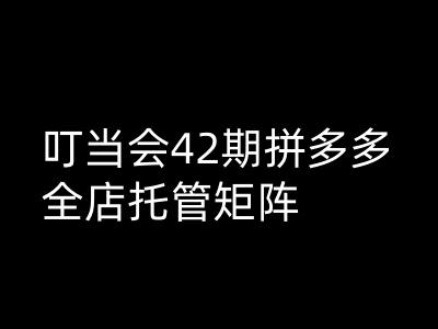 叮当会拼多多打爆班原创高阶技术第42期，拼多多全店托管矩阵-简创项目网