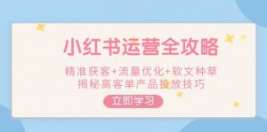 小红书运营全攻略，精准获客+流量优化+软文种草，揭秘高客单产品投放技巧-简创项目网