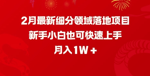 2月最新细分领域落地项目，新手小白也可快速上手，月入1W-简创项目网