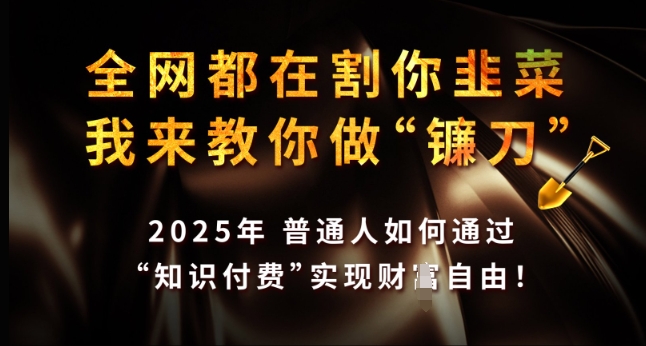 全网都在割你韭菜，我来教你做镰刀，2025年普通人如何通过 知识付费 实现财F自由【揭秘】-简创项目网