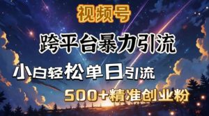 跨平台暴力引流，私域完美闭环，日引500+精准创业粉-简创项目网