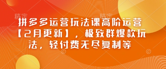 拼多多运营玩法课高阶运营【2月更新】，极致群爆款玩法，轻付费无尽复制等-简创项目网