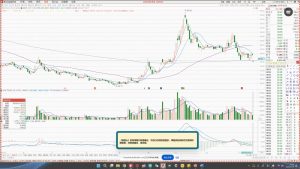 大师兄·鹿鼎山系列内部课程(更新2025年1月)-简创项目网