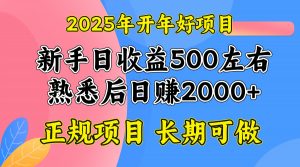 2025开年好项目，单号日收益2000左右-简创项目网