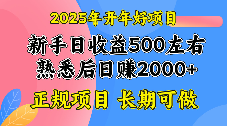 2025开年好项目，单号日收益2000左右-简创项目网